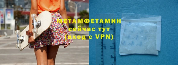 шишки Покачи