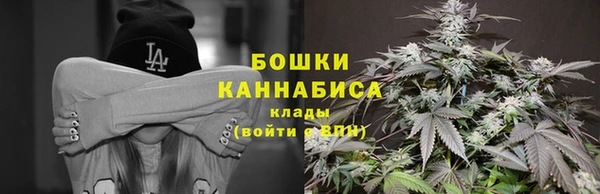 шишки Покачи