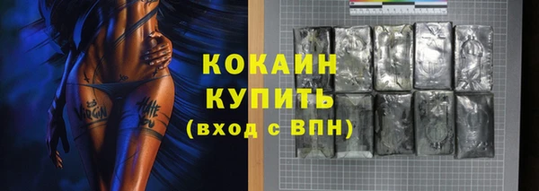 шишки Покачи