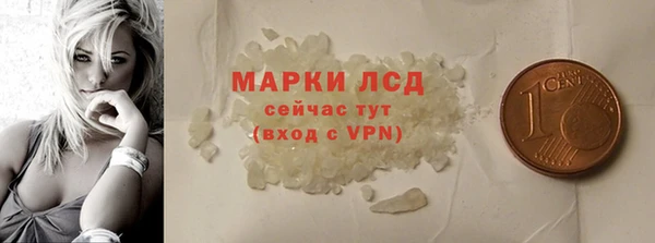 шишки Покачи