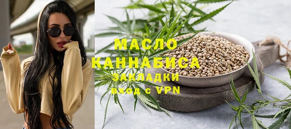шишки Покачи
