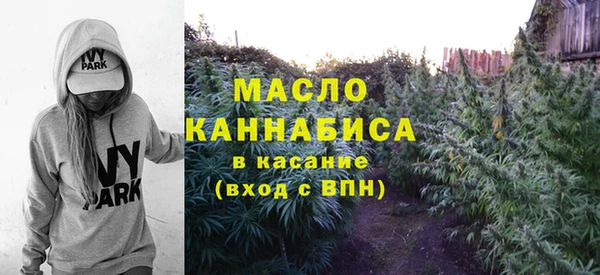 шишки Покачи
