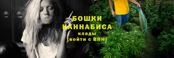 шишки Покачи