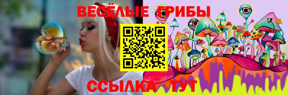 Псилоцибиновые грибы Psilocybine cubensis  Вход с VPN  Узловая 