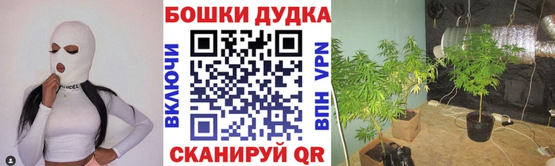mega маркетплейс  Узловая  Конопля планчик 